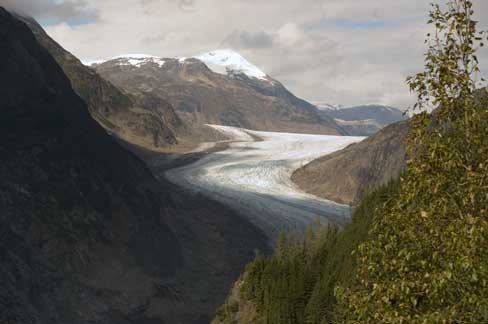 Salmon-Gletscher