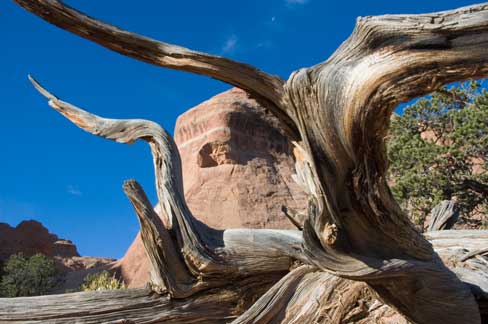 Arches-Nationalpark